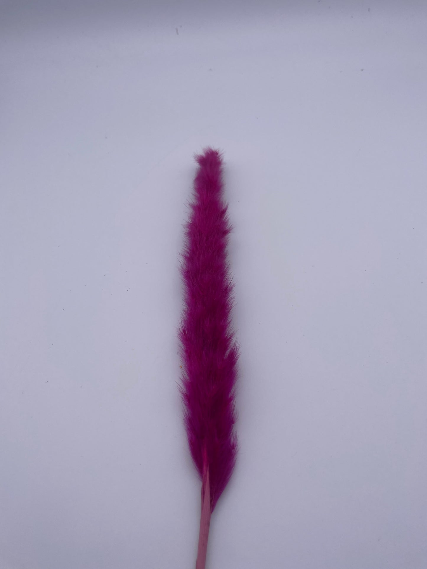 Mix & Match Stems 5 Pcs.