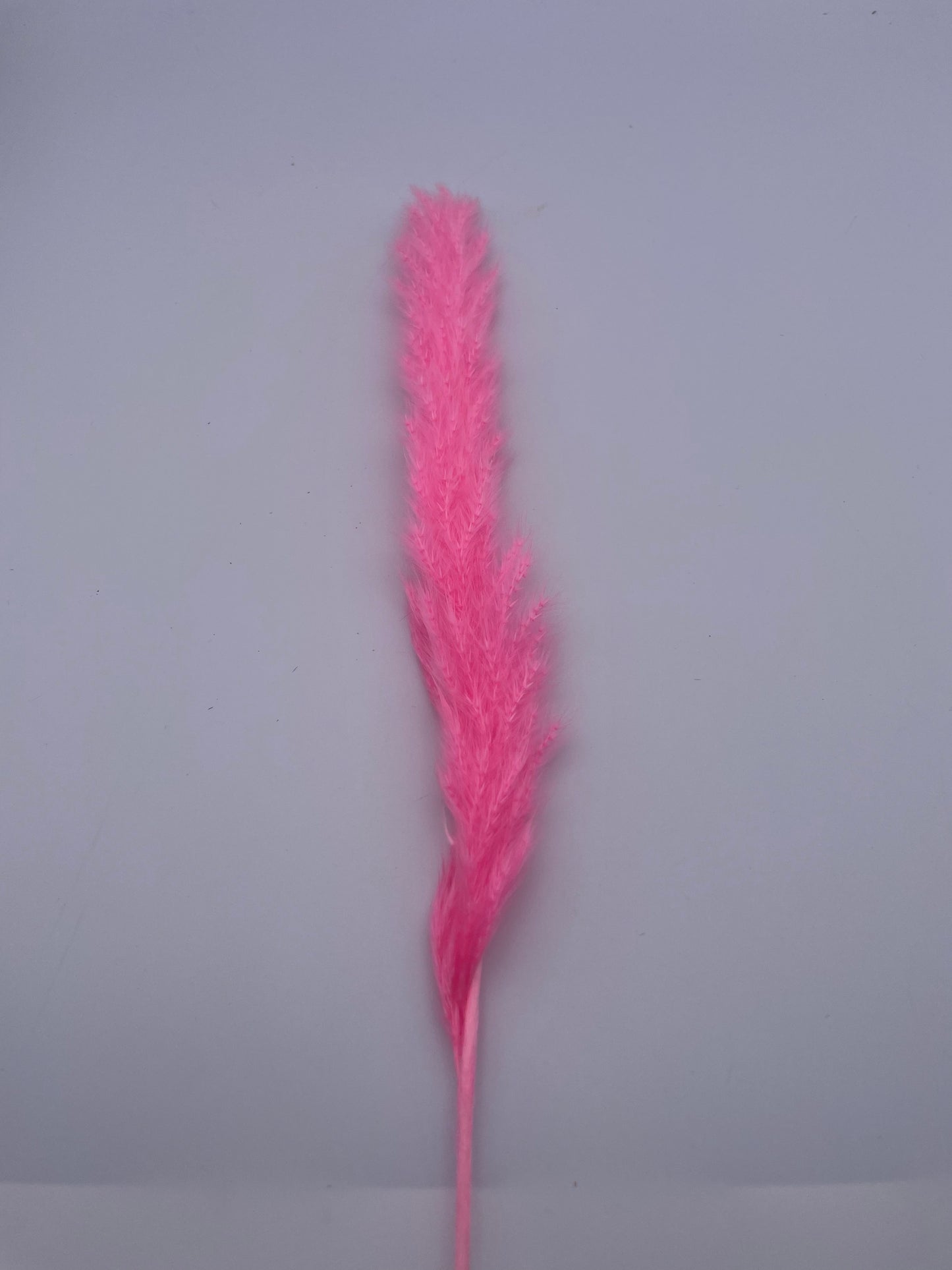 Mix & Match Stems 5 Pcs.