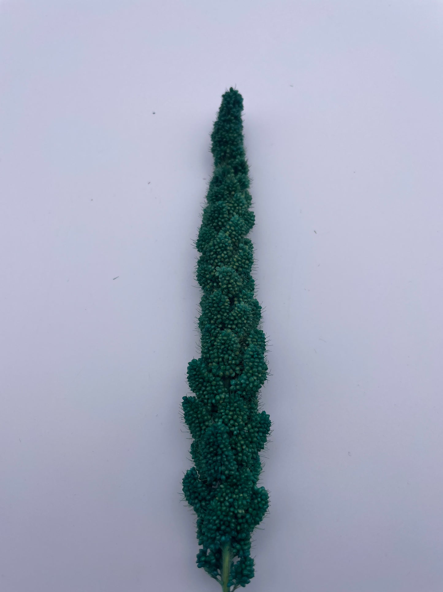 Mix & Match Stems 5 Pcs.