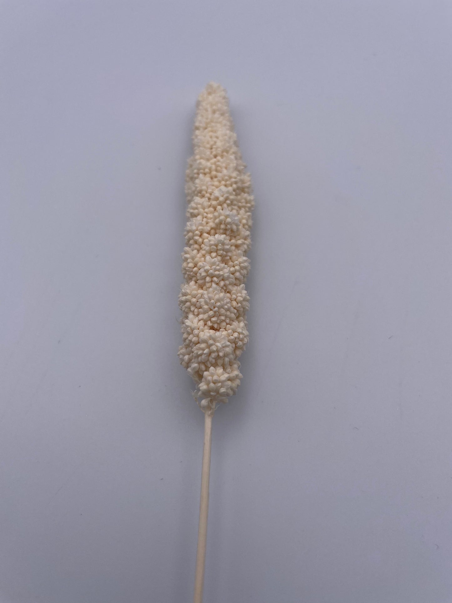 Mix & Match Stems 5 Pcs.