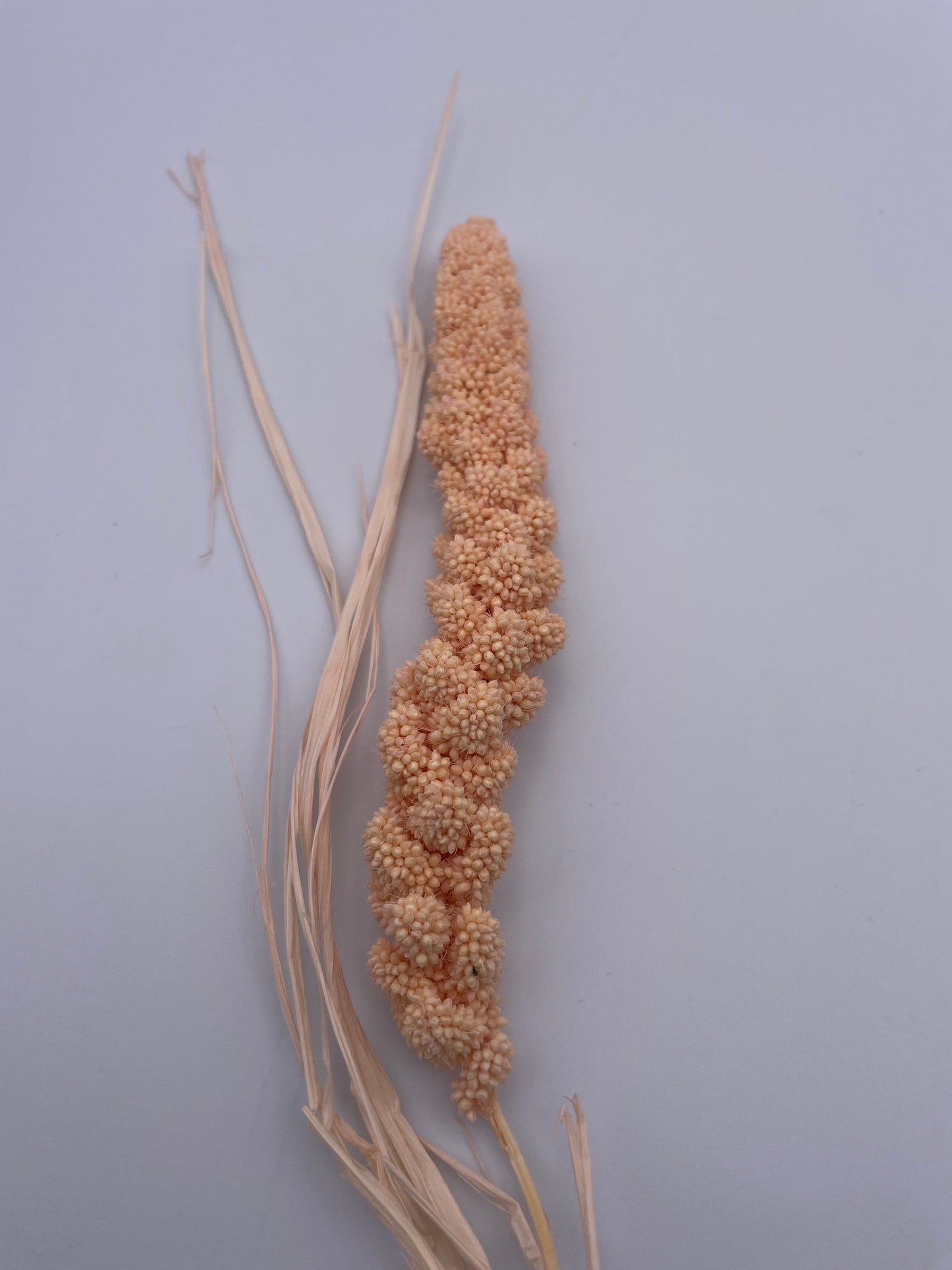Mix & Match Stems 5 Pcs.