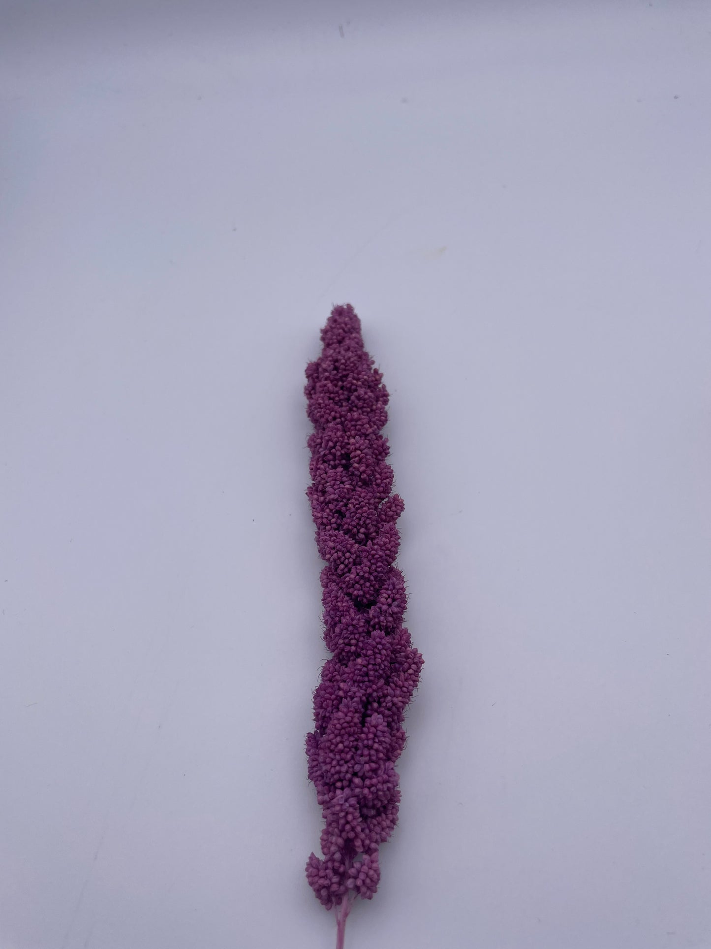 Mix & Match Stems 5 Pcs.