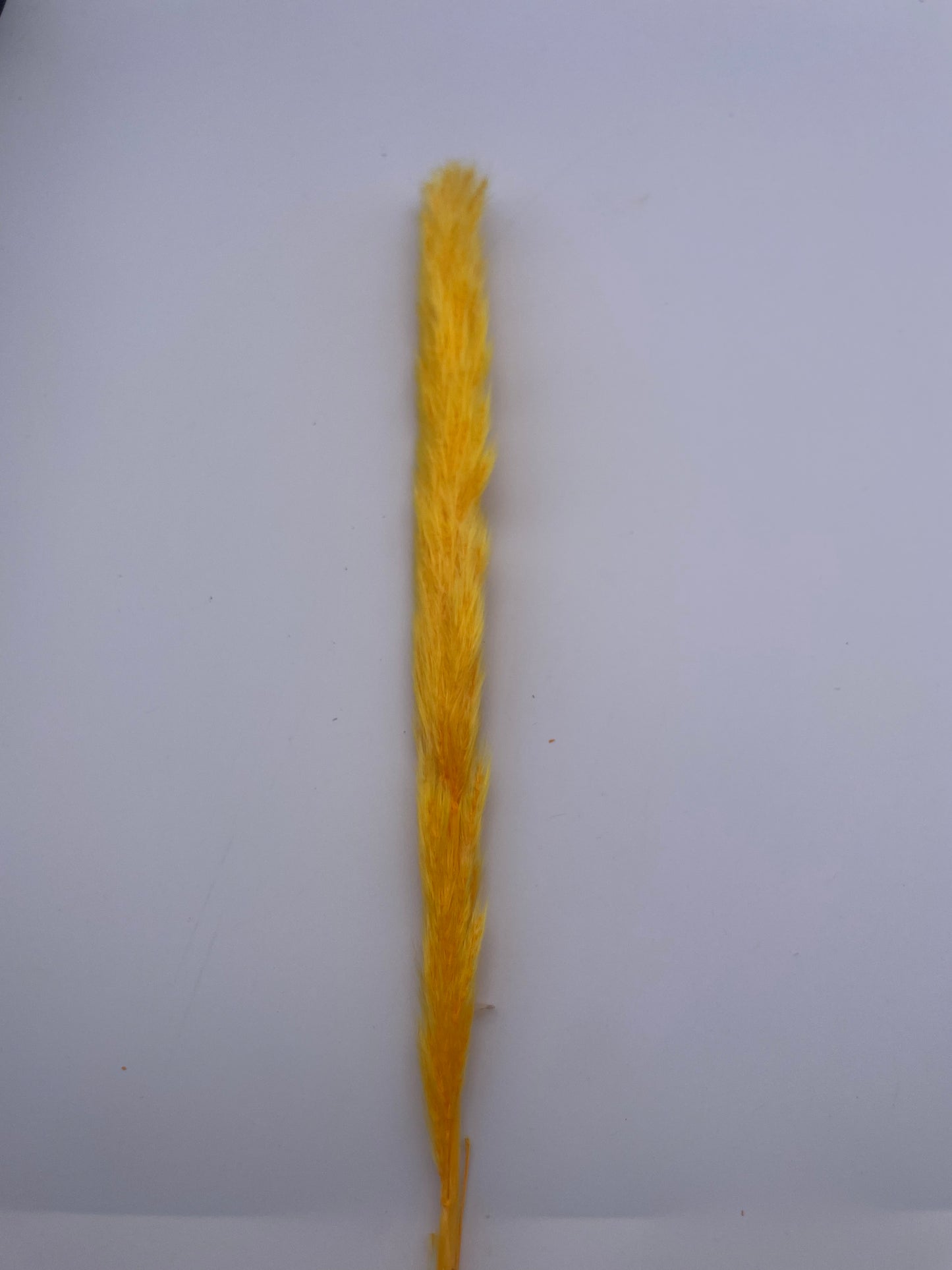 Mix & Match Stems 5 Pcs.