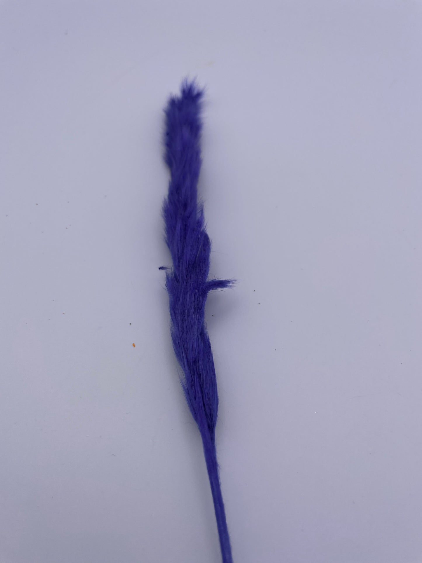 Mix & Match Stems 5 Pcs.