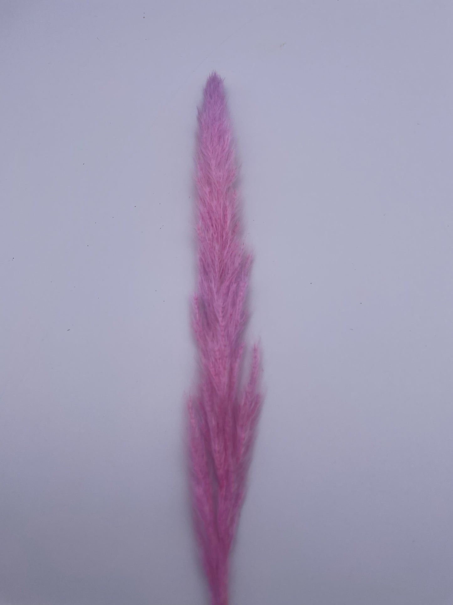 Mix & Match Stems 5 Pcs.