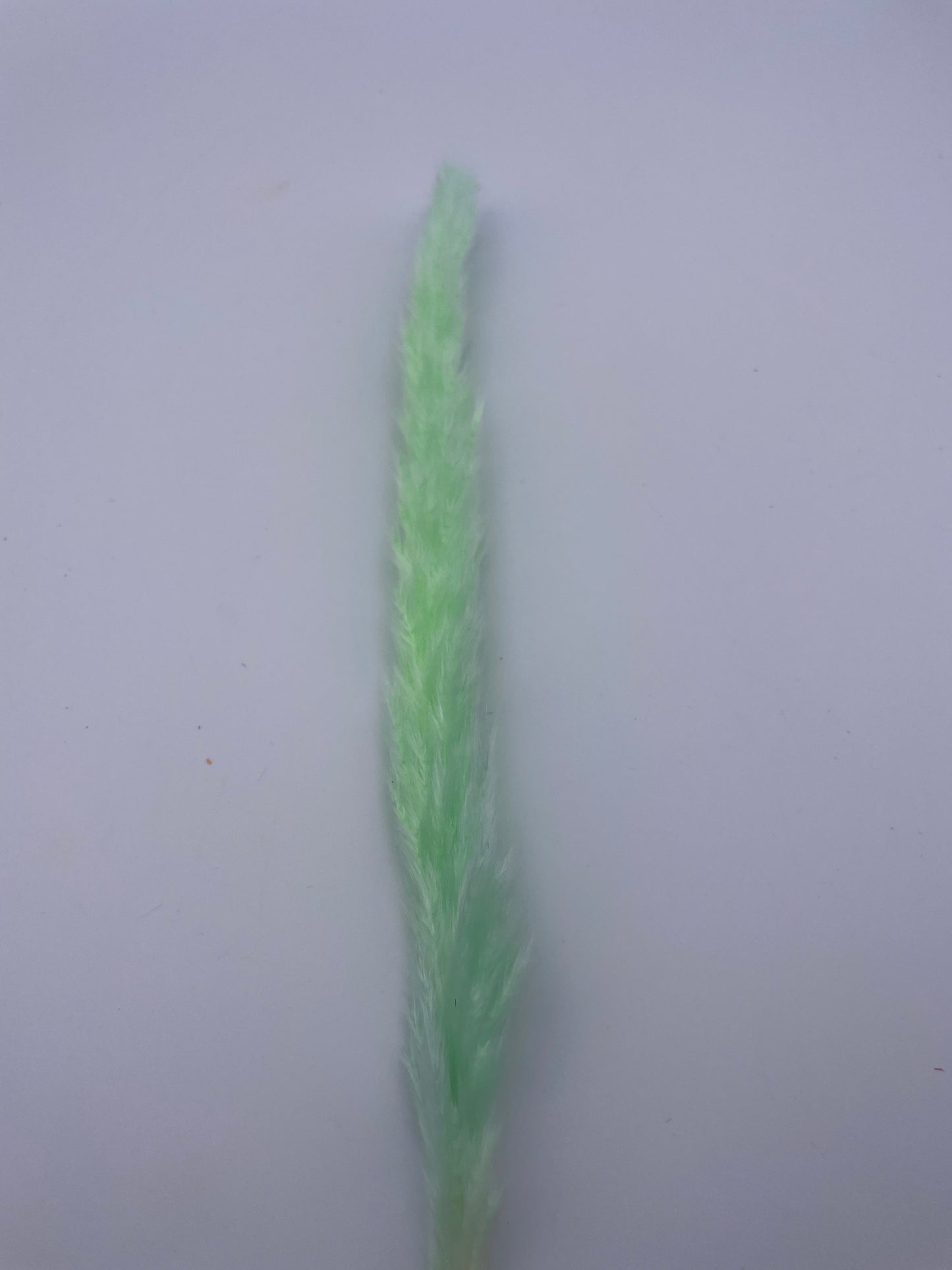 Mix & Match Stems 5 Pcs.