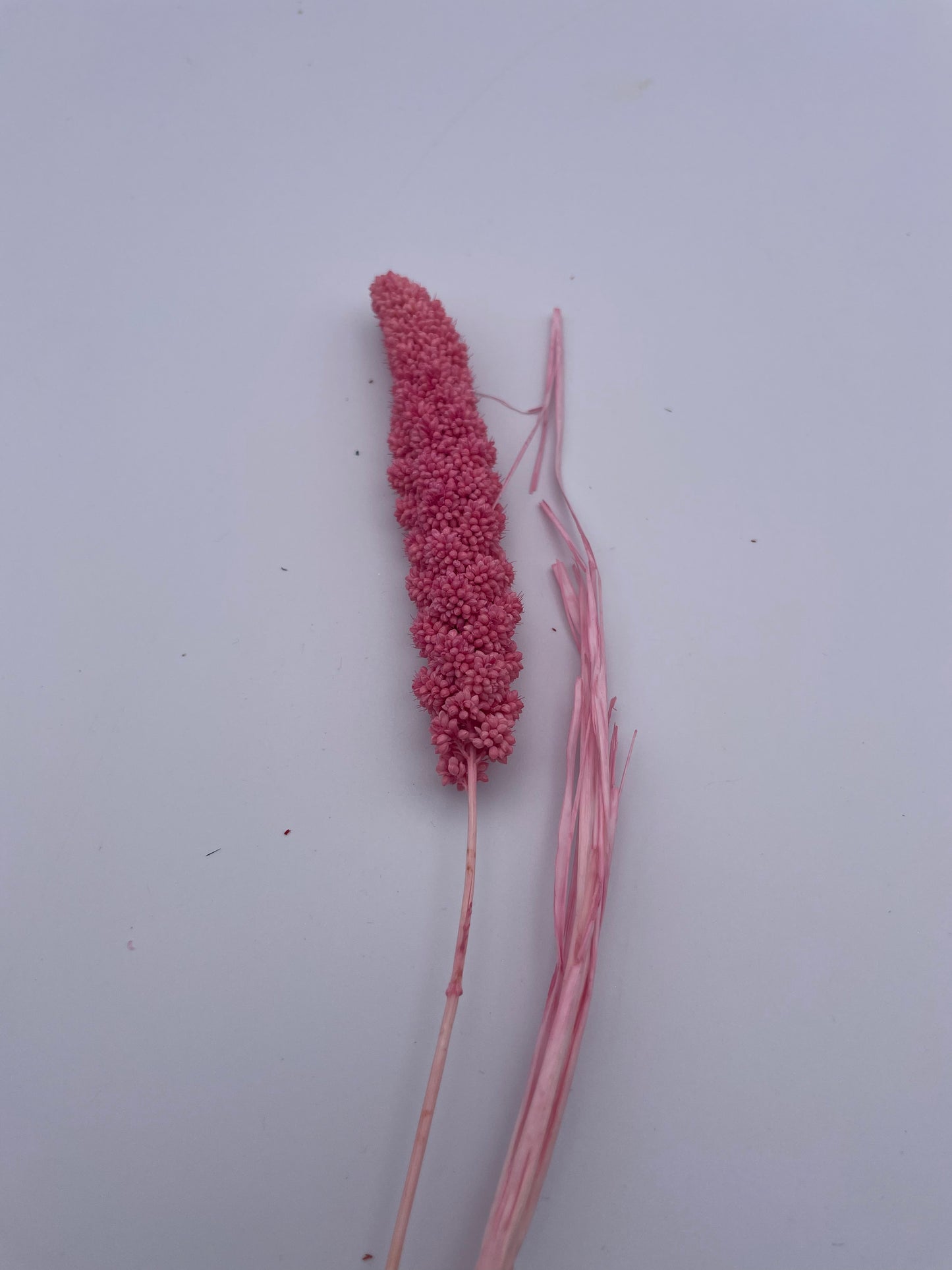 Mix & Match Stems 5 Pcs.