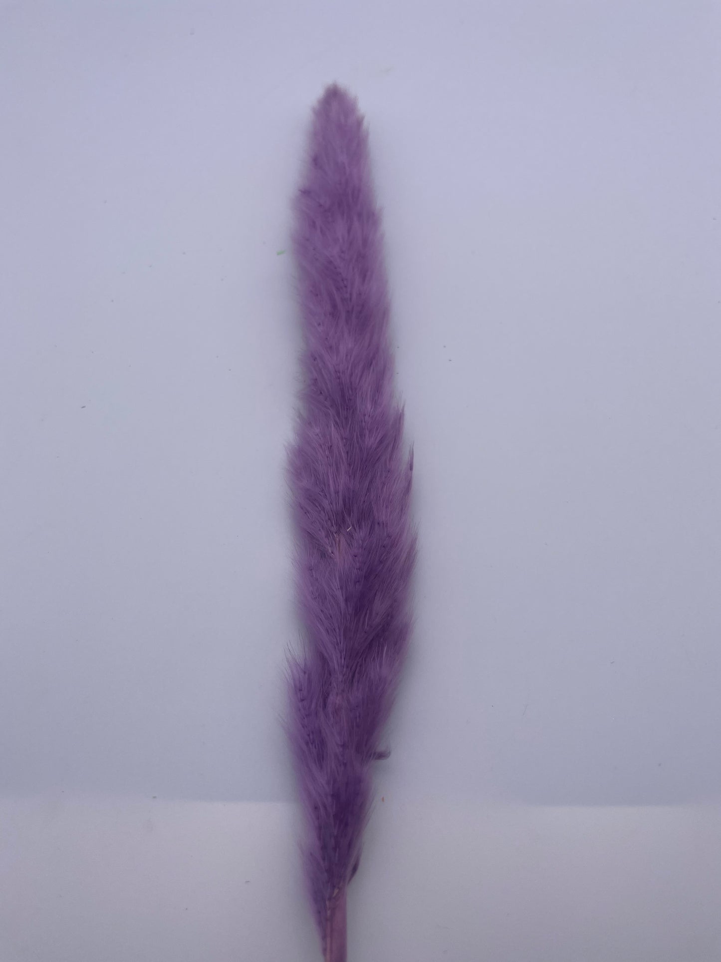 Mix & Match Stems 5 Pcs.