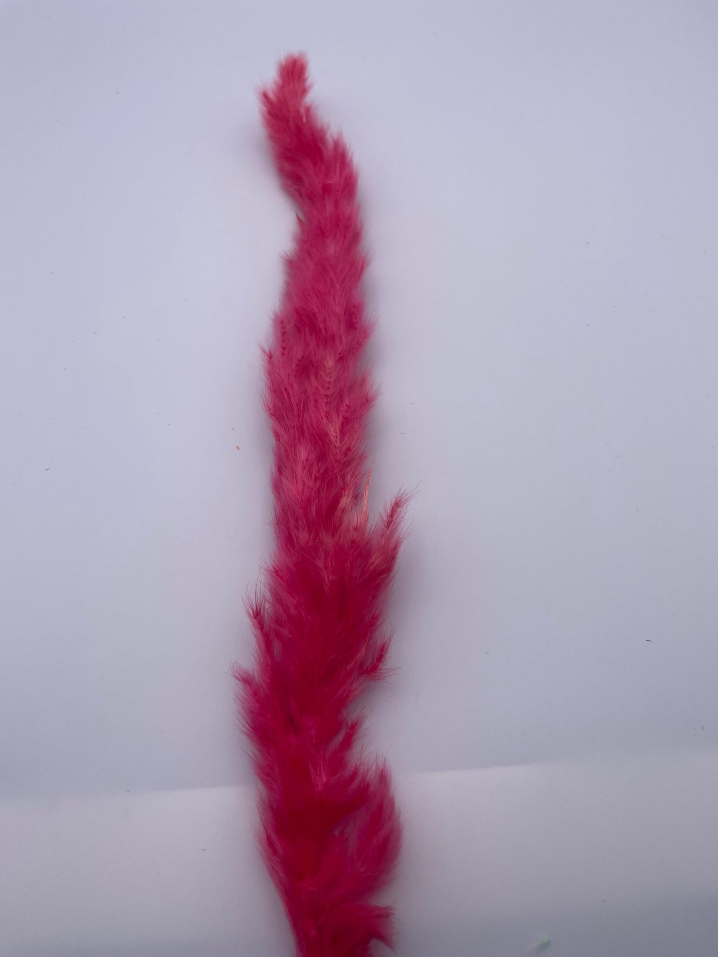 Mix & Match Stems 5 Pcs.