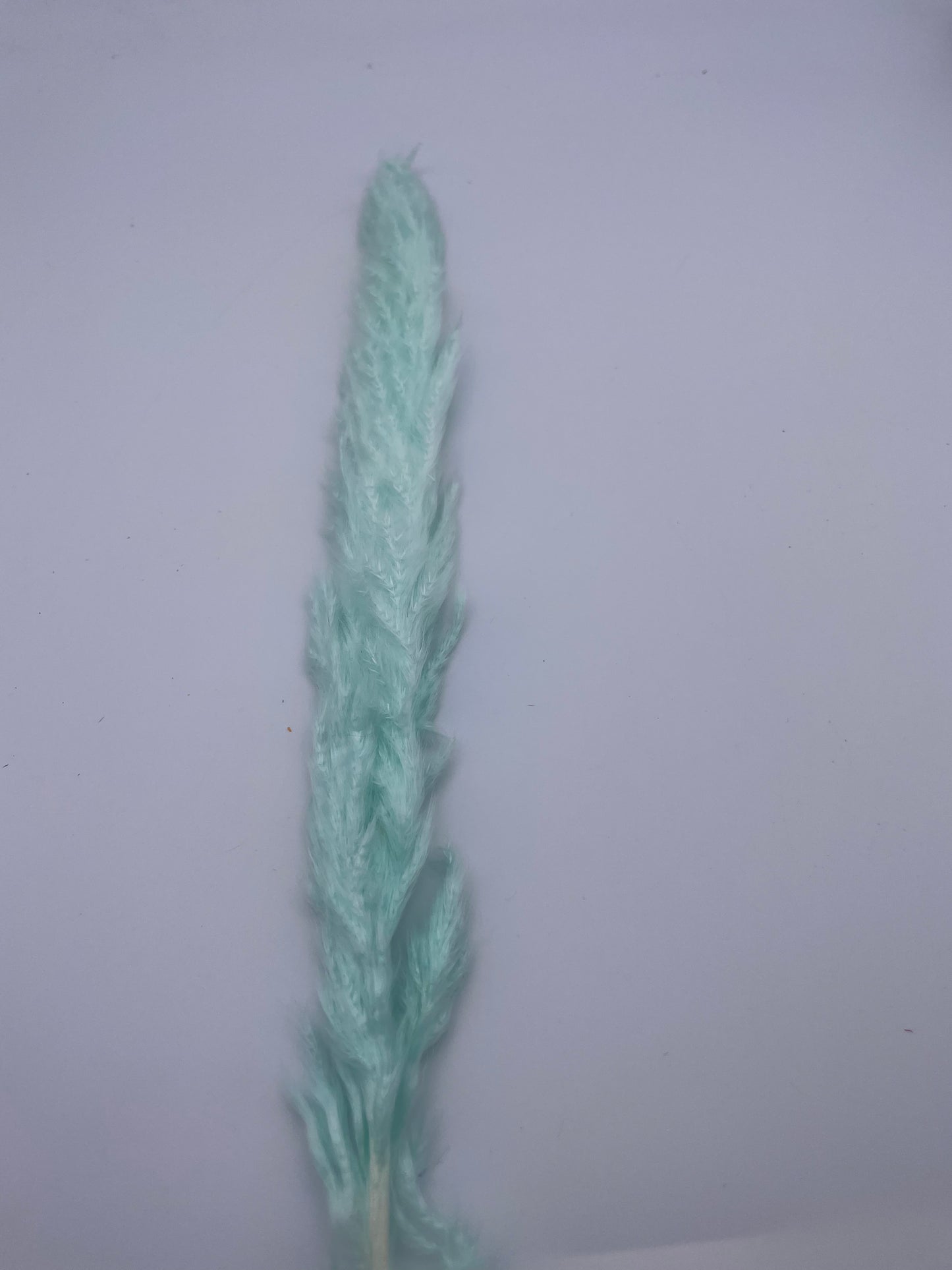 Mix & Match Stems 5 Pcs.