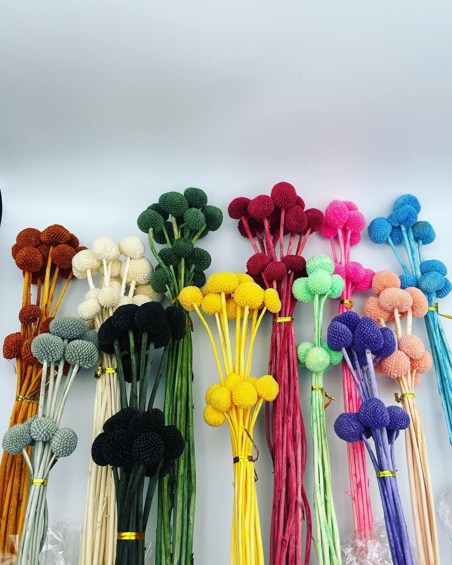 Mix & Match Stems 5 Pcs.